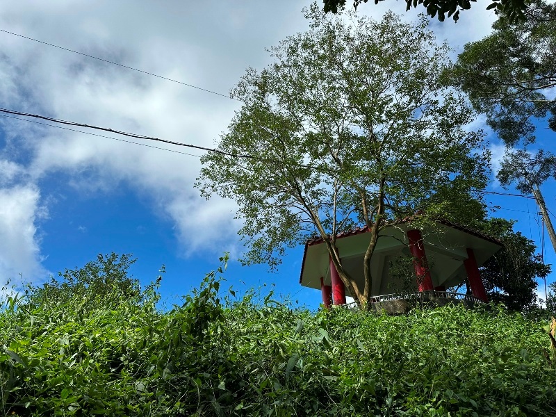 chungniuhu15 南化-刣牛湖山 荒煙漫草 冷門小百岳