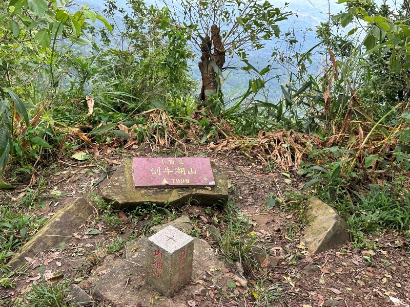 chungniuhu23 南化-刣牛湖山 荒煙漫草 冷門小百岳