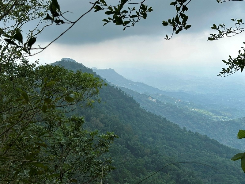 chungniuhu25 南化-刣牛湖山 荒煙漫草 冷門小百岳