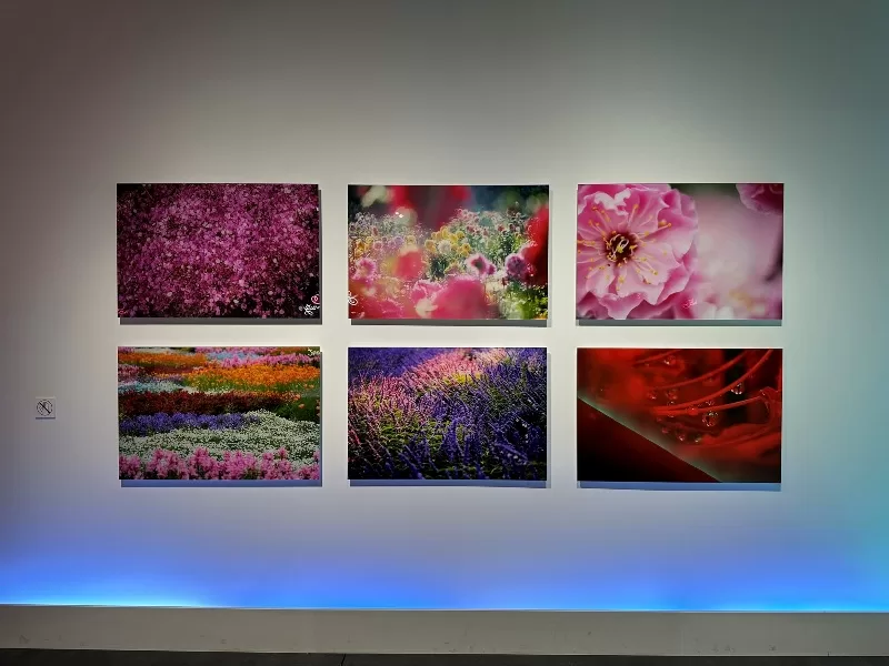 hirosaki07-jpeg Hirosaki-弘前れんが倉庫美術館 奈良美智白色大狗與蜷川實花