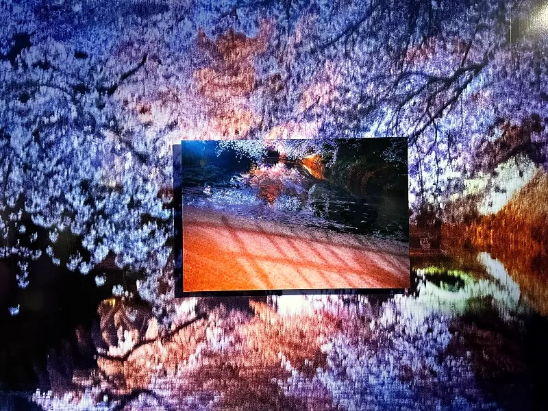 hirosaki16-jpeg Hirosaki-弘前れんが倉庫美術館 奈良美智白色大狗與蜷川實花