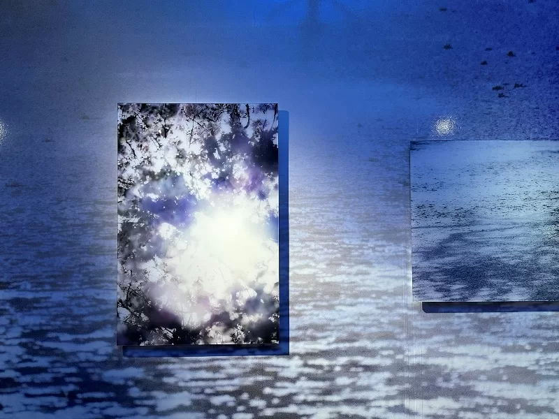 hirosaki18-jpeg Hirosaki-弘前れんが倉庫美術館 奈良美智白色大狗與蜷川實花