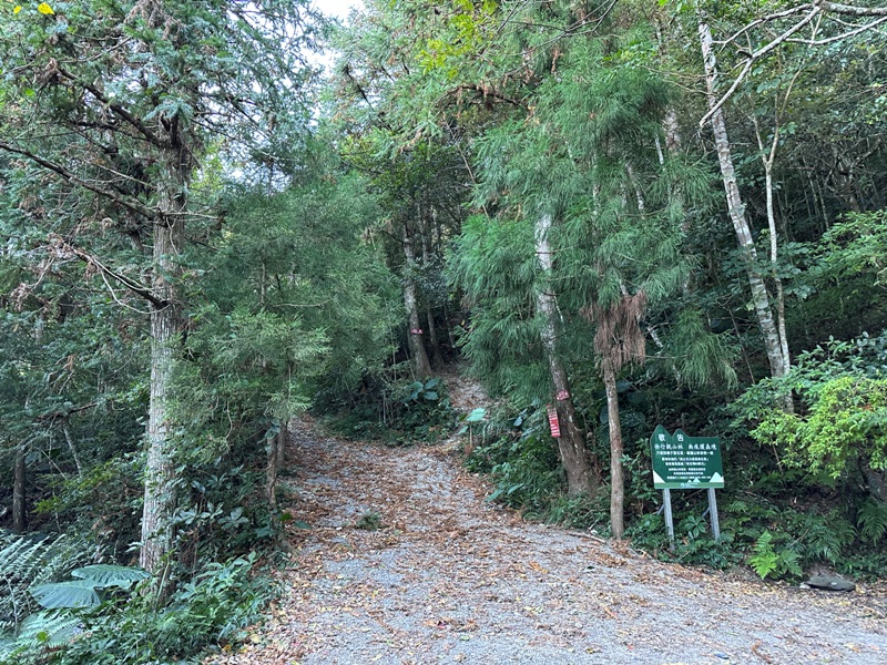 尖石-高島縱走 高台山 小中大島田山 一日四山