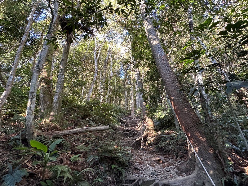kaodao02 尖石-高島縱走 高台山 小中大島田山 一日四山