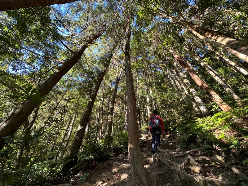 kaodao04 尖石-高島縱走 高台山 小中大島田山 一日四山