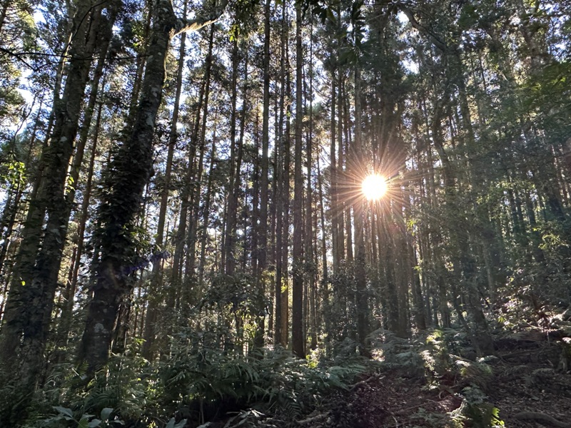 kaodao07 尖石-高島縱走 高台山 小中大島田山 一日四山