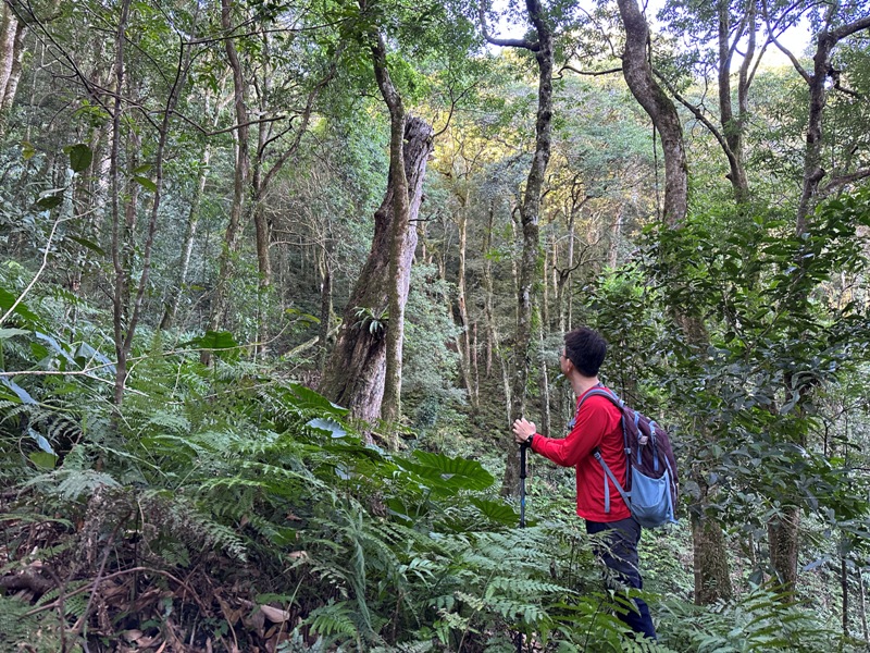 kaodao09 尖石-高島縱走 高台山 小中大島田山 一日四山