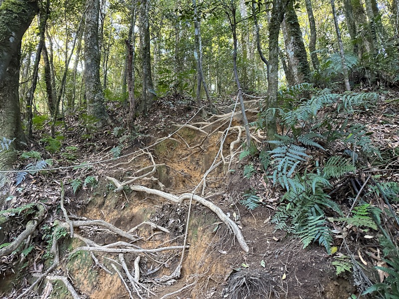 kaodao10 尖石-高島縱走 高台山 小中大島田山 一日四山