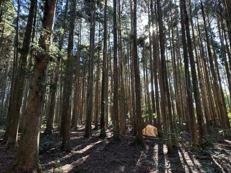 kaodao13 尖石-高島縱走 高台山 小中大島田山 一日四山