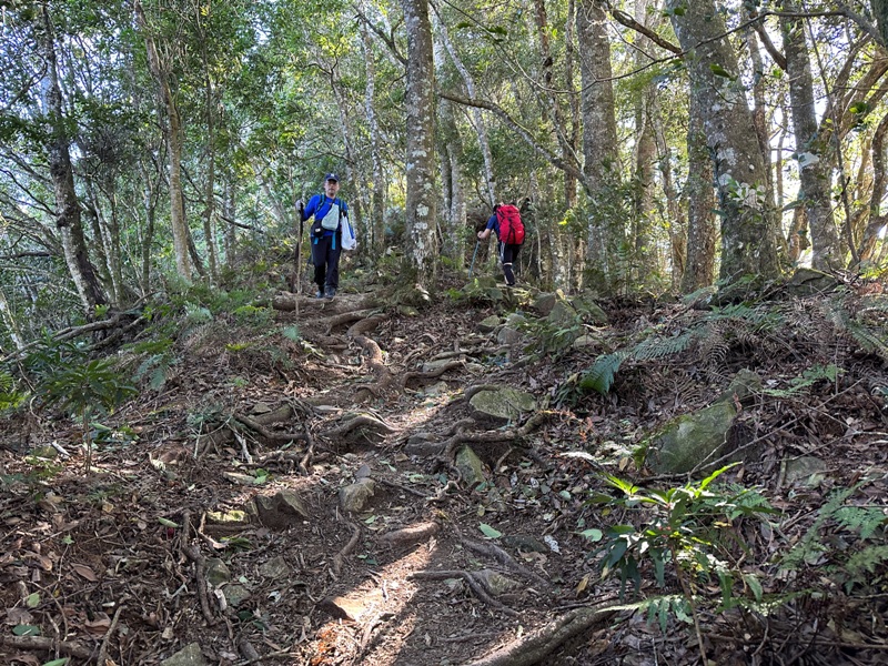 kaodao15 尖石-高島縱走 高台山 小中大島田山 一日四山