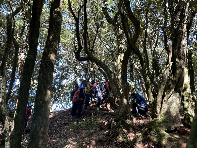 kaodao19 尖石-高島縱走 高台山 小中大島田山 一日四山
