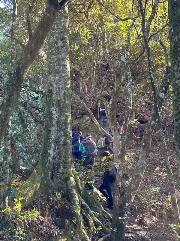 kaodao21-rotated 尖石-高島縱走 高台山 小中大島田山 一日四山
