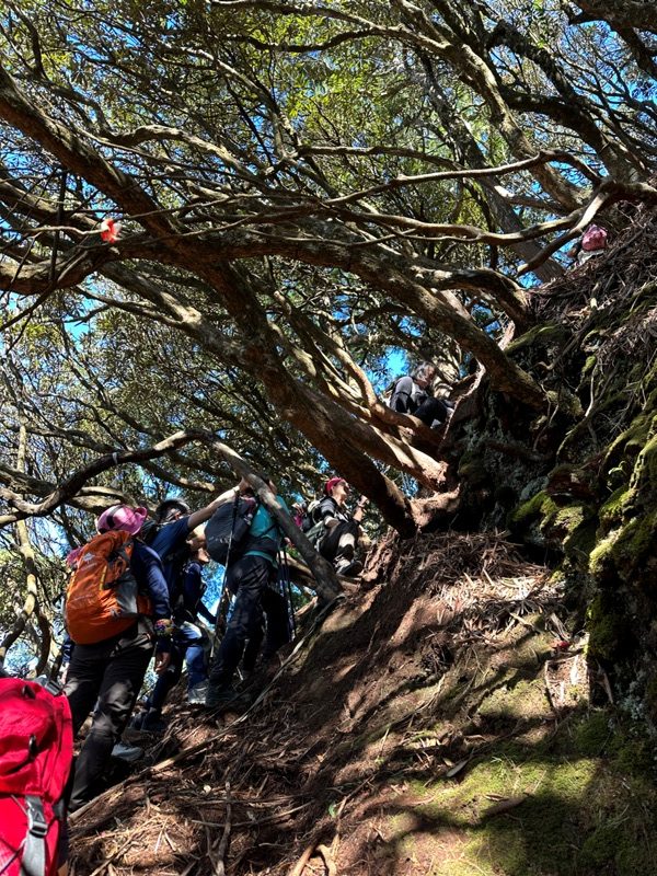 kaodao23-rotated 尖石-高島縱走 高台山 小中大島田山 一日四山