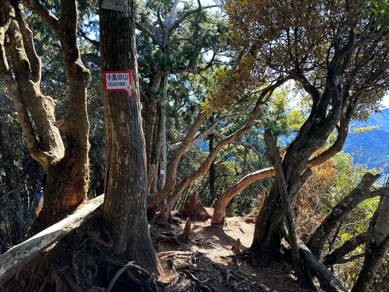 kaodao25-rotated 尖石-高島縱走 高台山 小中大島田山 一日四山