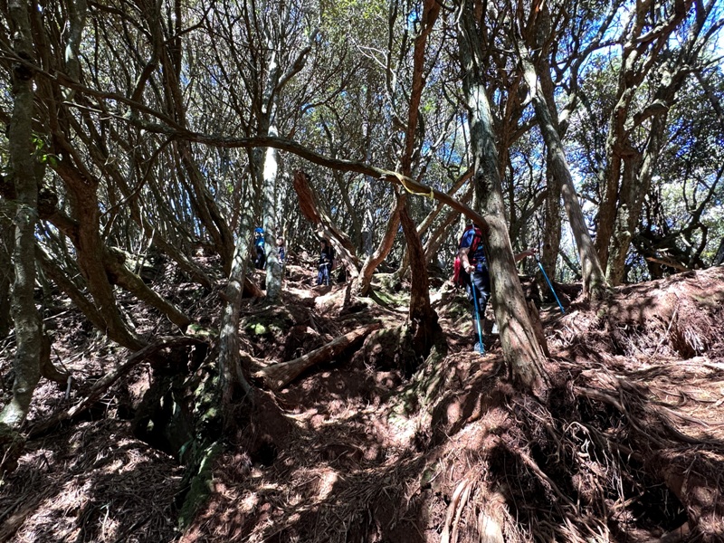 kaodao27 尖石-高島縱走 高台山 小中大島田山 一日四山