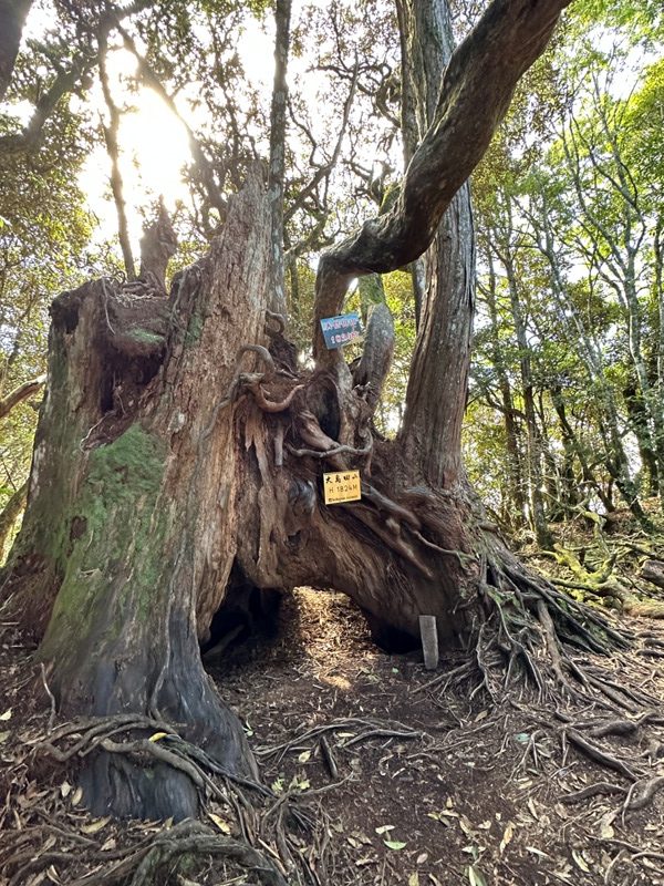 kaodao30-rotated 尖石-高島縱走 高台山 小中大島田山 一日四山