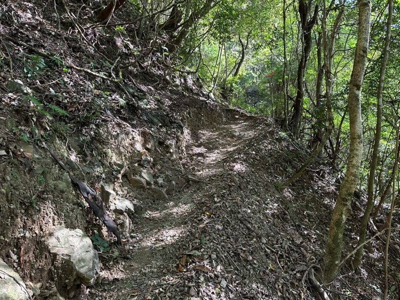 kaodao31-rotated 尖石-高島縱走 高台山 小中大島田山 一日四山