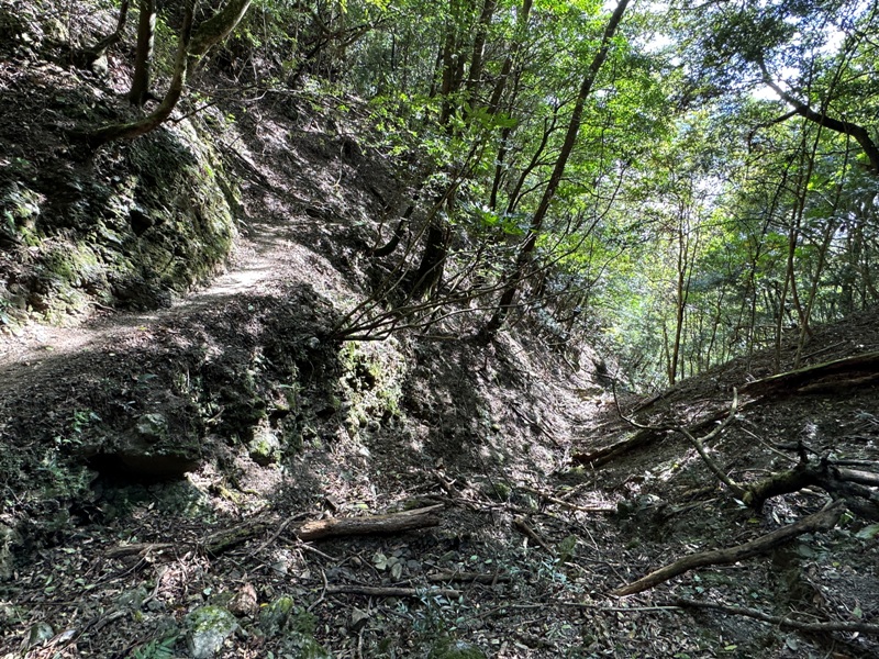 kaodao32 尖石-高島縱走 高台山 小中大島田山 一日四山