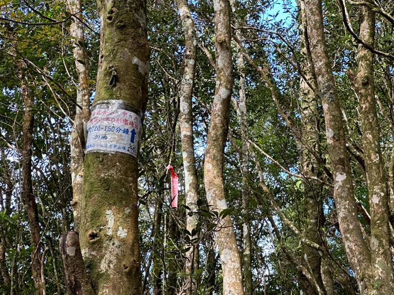 kaodao33 尖石-高島縱走 高台山 小中大島田山 一日四山