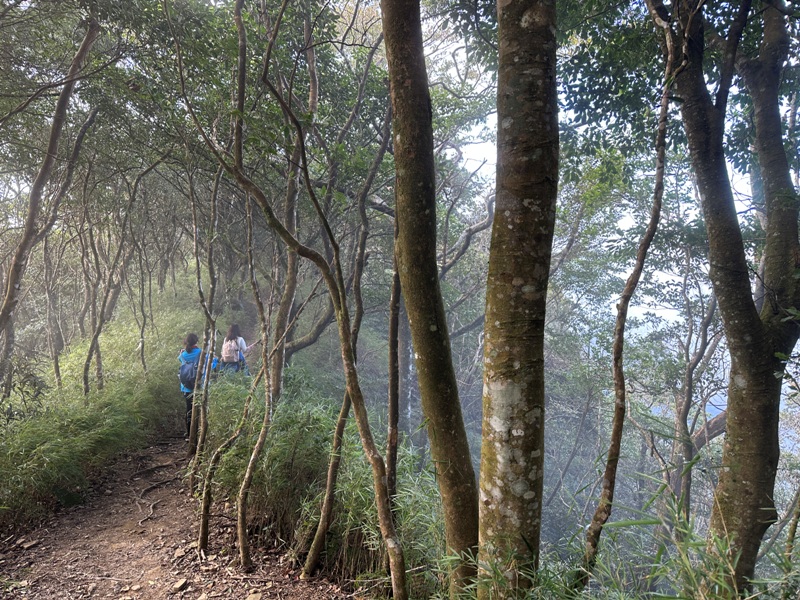 kaodao34 尖石-高島縱走 高台山 小中大島田山 一日四山
