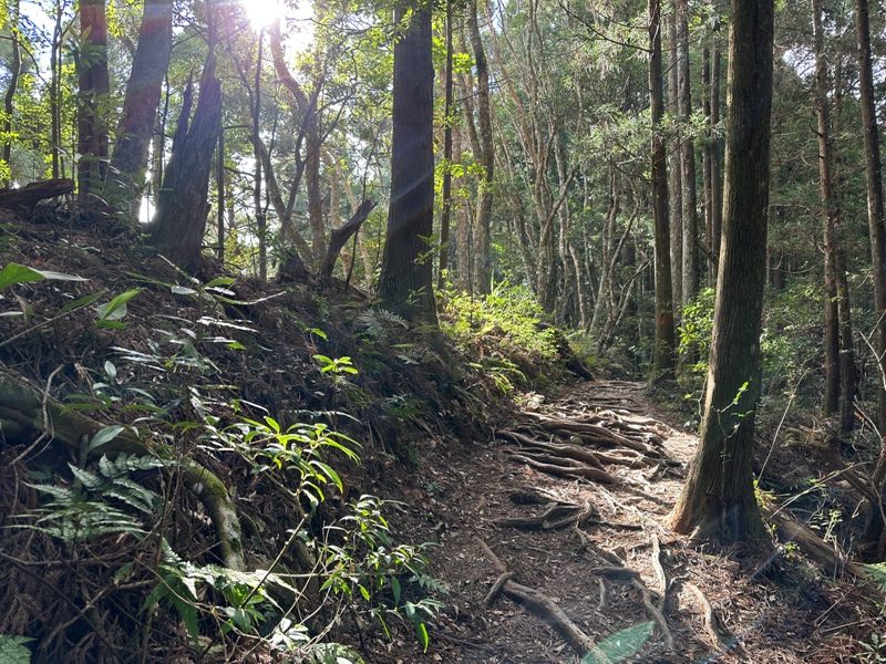 kaodao35-rotated 尖石-高島縱走 高台山 小中大島田山 一日四山