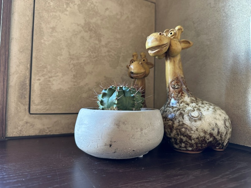 luchaicafe09 安平-鹿柴咖啡 滿滿長頸鹿的擺設 安平港邊可愛小店