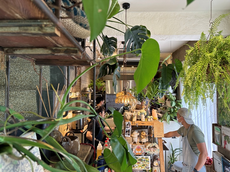 zaoka03 台南中西區-小北家灶咖ZAOKA綠意滿屋