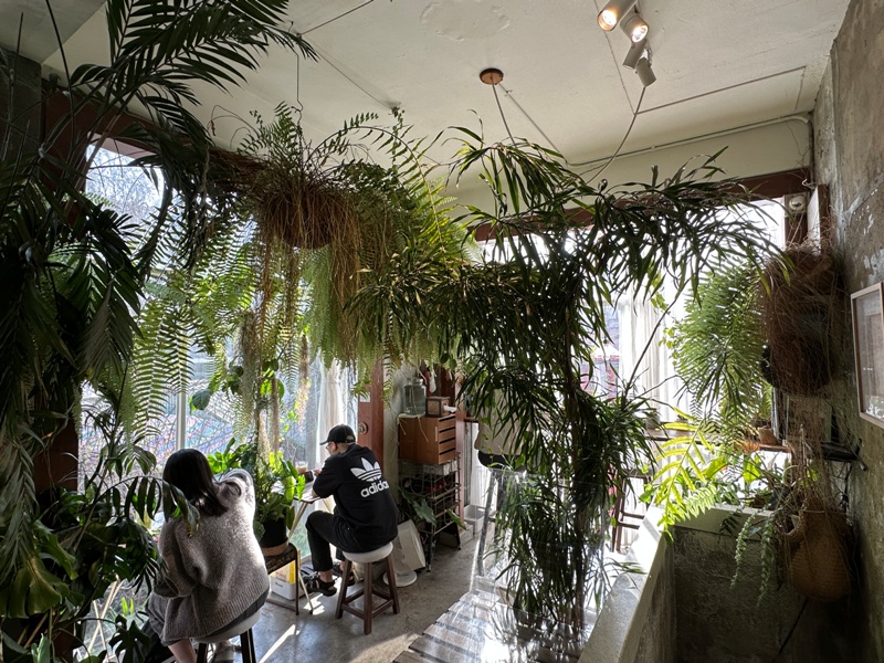 zaoka05 台南中西區-小北家灶咖ZAOKA綠意滿屋