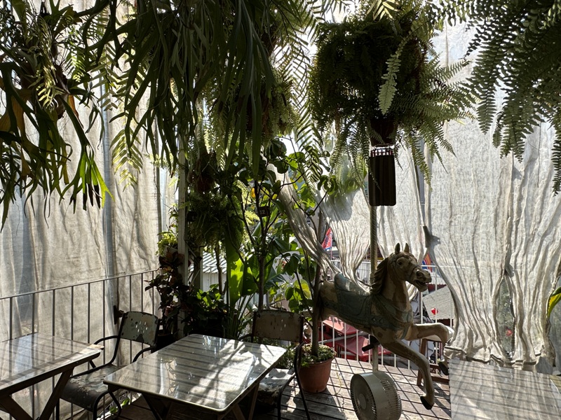 zaoka07 台南中西區-小北家灶咖ZAOKA綠意滿屋