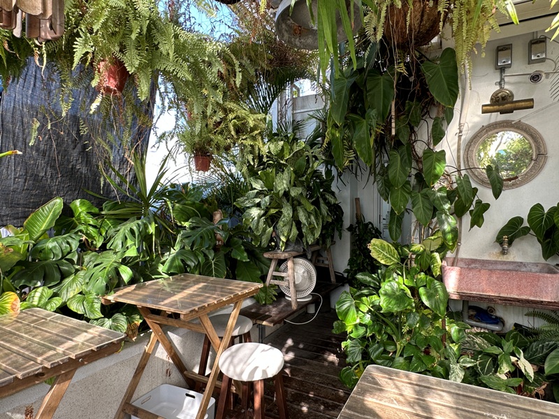 zaoka08 台南中西區-小北家灶咖ZAOKA綠意滿屋