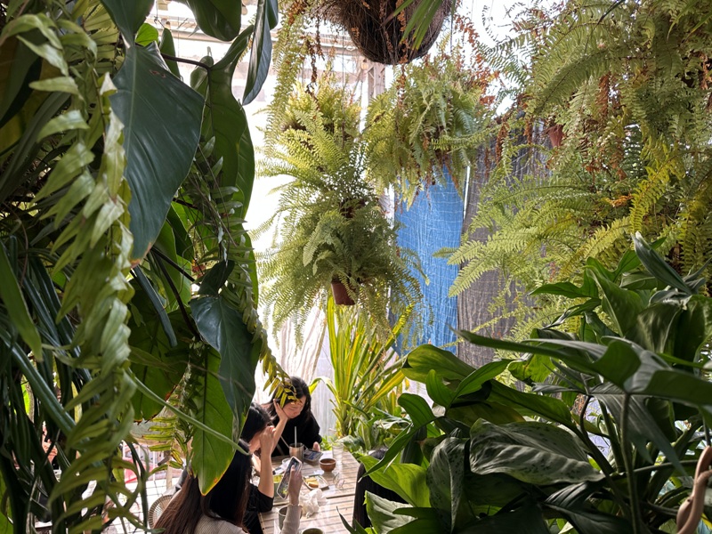 zaoka09 台南中西區-小北家灶咖ZAOKA綠意滿屋