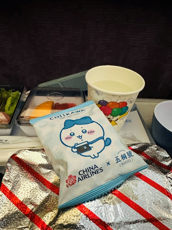 fly20241205 202412松山羽田成田桃園