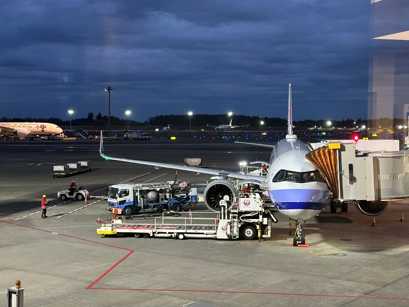 fly20241211 202412松山羽田成田桃園