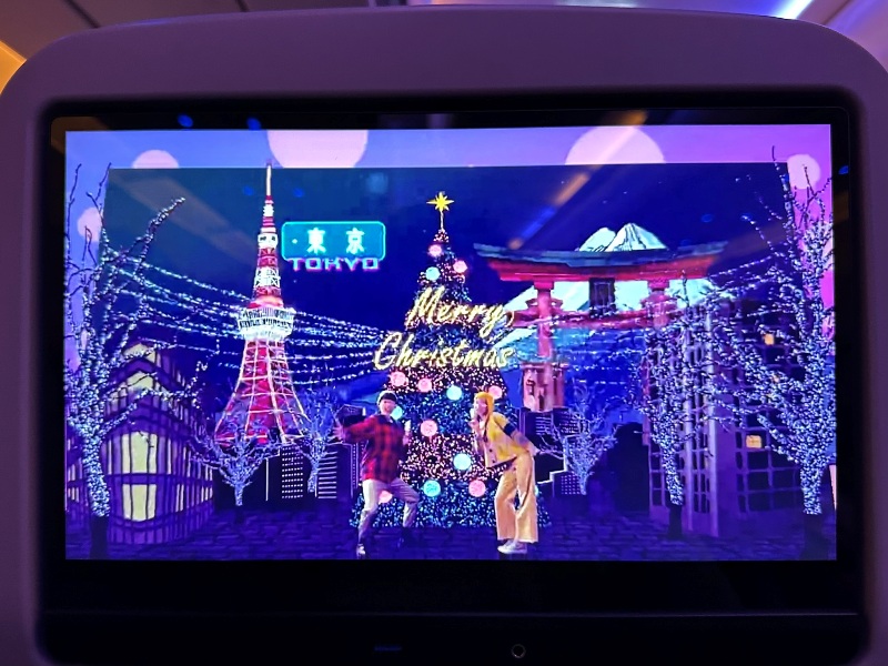 fly20241212 202412松山羽田成田桃園