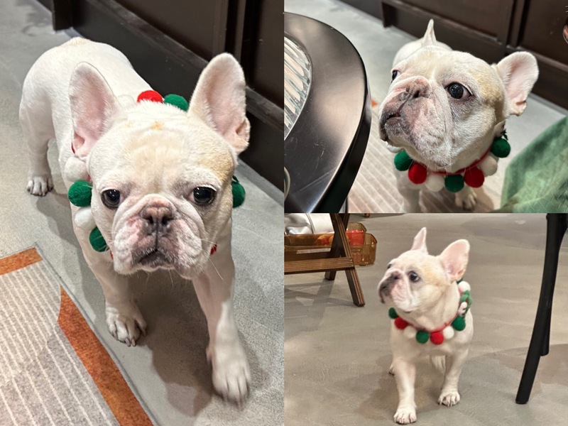 oftencoffee10 中壢-時常咖啡Often Coffee復古英倫風 旋轉門轉出新姿態