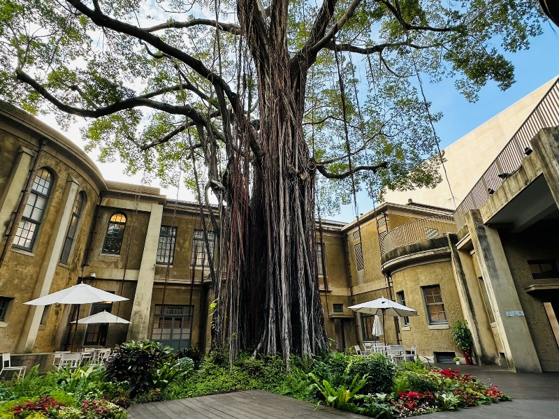 revivalcoffee11 台南中西區-溫故知新咖啡館 台南美術館一館 簡約優雅