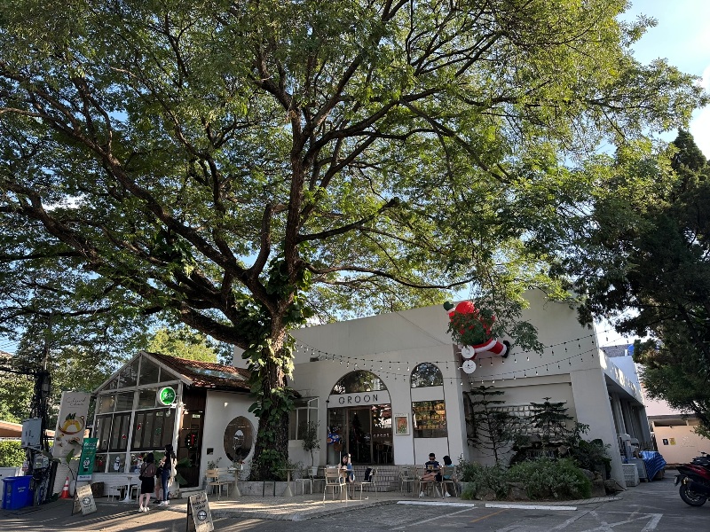 groon1 Chiang Mai-大樹下好乘涼之尼曼區Groon Bread & Brunch Café