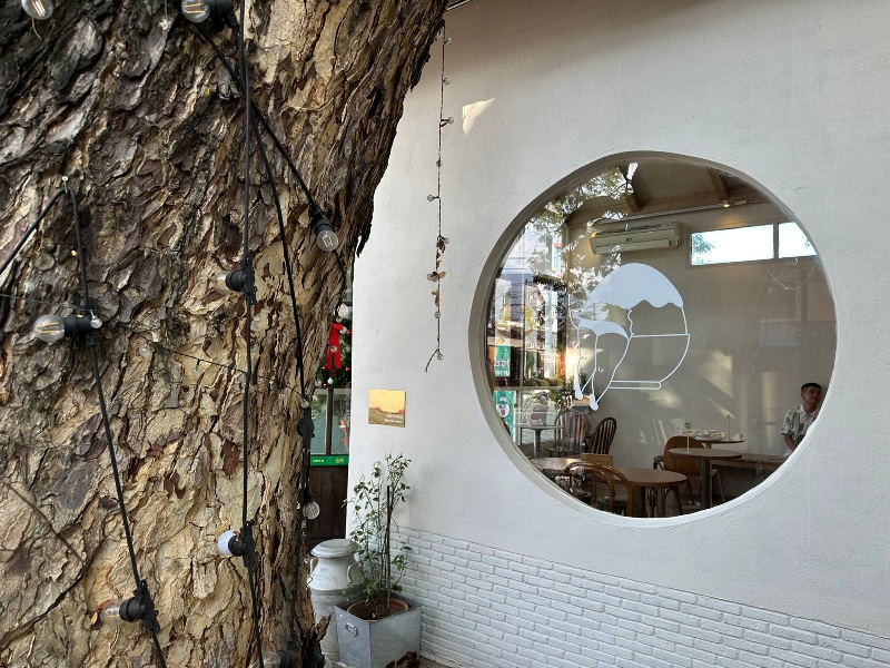 groon4 Chiang Mai-大樹下好乘涼之尼曼區Groon Bread & Brunch Café