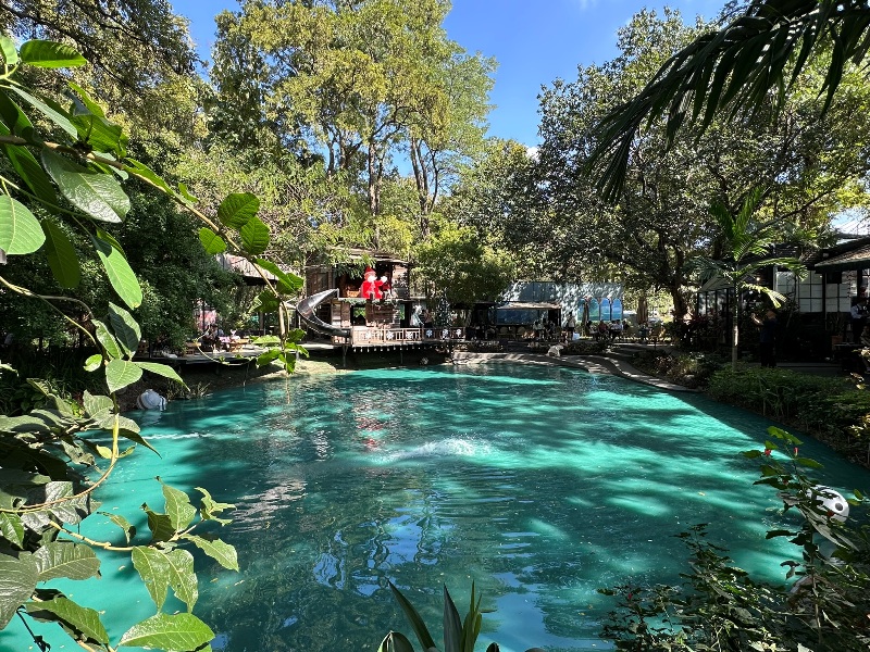 no3903 Chiang Mai-No.39 Cafe森林系夢幻湖畔網美熱點