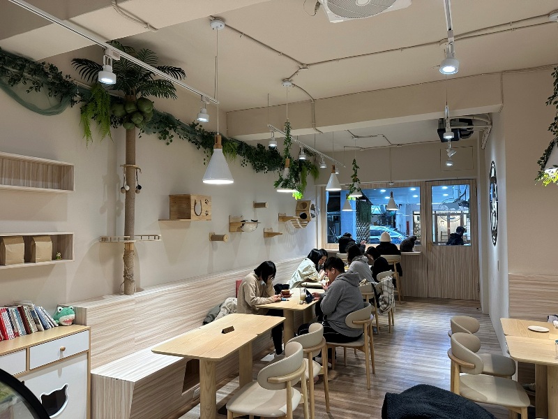 ptlcafe02 板橋-豬豬咖啡 喵喵摸摸茶咖啡館