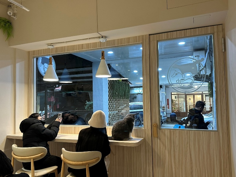 ptlcafe04 板橋-豬豬咖啡 喵喵摸摸茶咖啡館