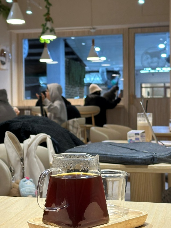 ptlcafe09 板橋-豬豬咖啡 喵喵摸摸茶咖啡館