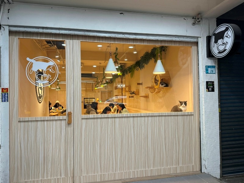 ptlcafee1 板橋-豬豬咖啡 喵喵摸摸茶咖啡館