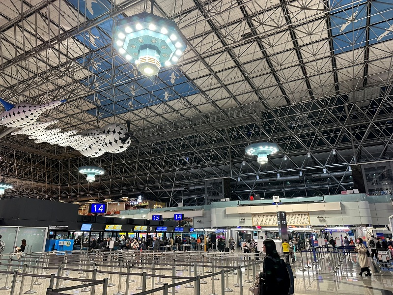 ngongo01 202502桃園名古屋羽田松山 跟富士說Hi