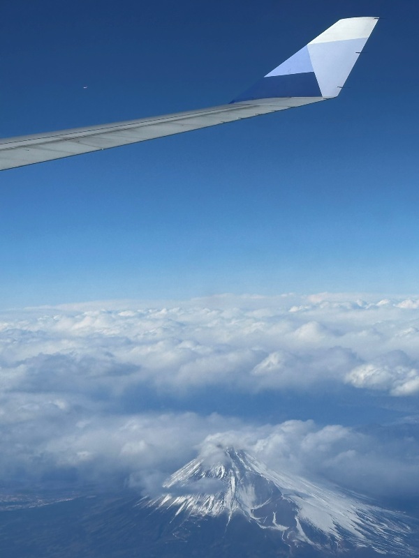 ngongo10 202502桃園名古屋羽田松山 跟富士說Hi