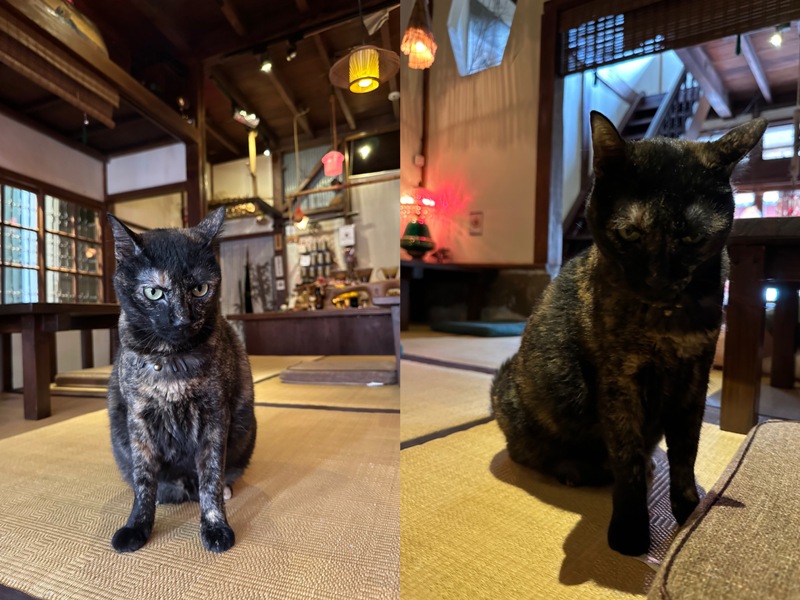 cafechamberchiayi13 嘉義西區-秘氏咖啡 老宅日式昭和風