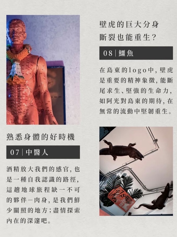 decryptionroom21 花蓮-島東譯電所 怪奇特色酒吧