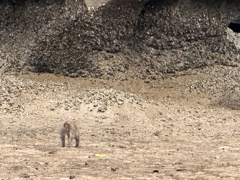 holongbay31 Halong Bay-自然奇蹟 千島美景的壯闊下龍灣 世界自然遺產