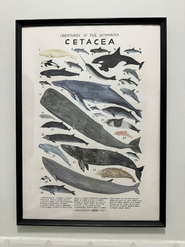 monodon12 中山-一角鯨咖啡 老屋改造 赤峰街區下午茶好選擇