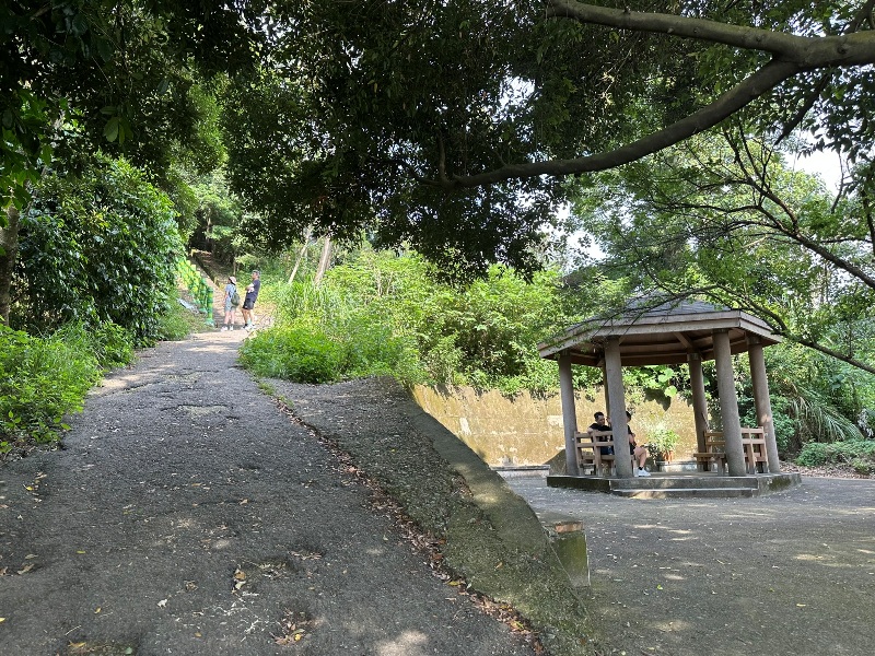 feifong03 芎林-飛鳳山輕鬆走 夏日午後上山躲豔陽賞落日